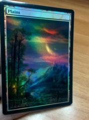 Plains #03 Foil Extended